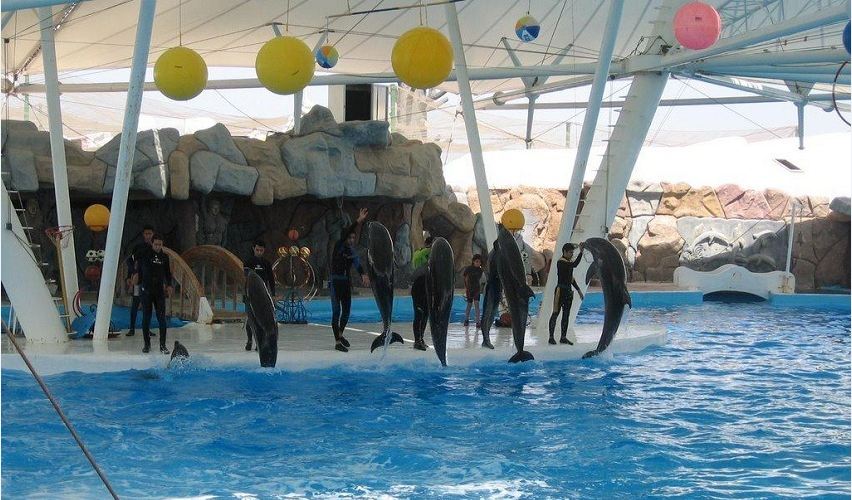 dolphinarium kish rentauto - مناطق گردشگری کیش به همراه اجاره خودرو