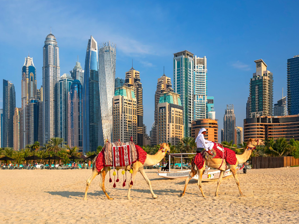 The best auction season in Dubai summer - بهترین فصل حراج دبی و فستیوال‌های خرید دبی