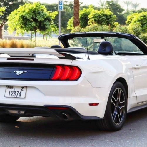 اجاره فورد موستانگ ۲۰۲۰ در دبی | Rent Mustang 2020 in Dubai