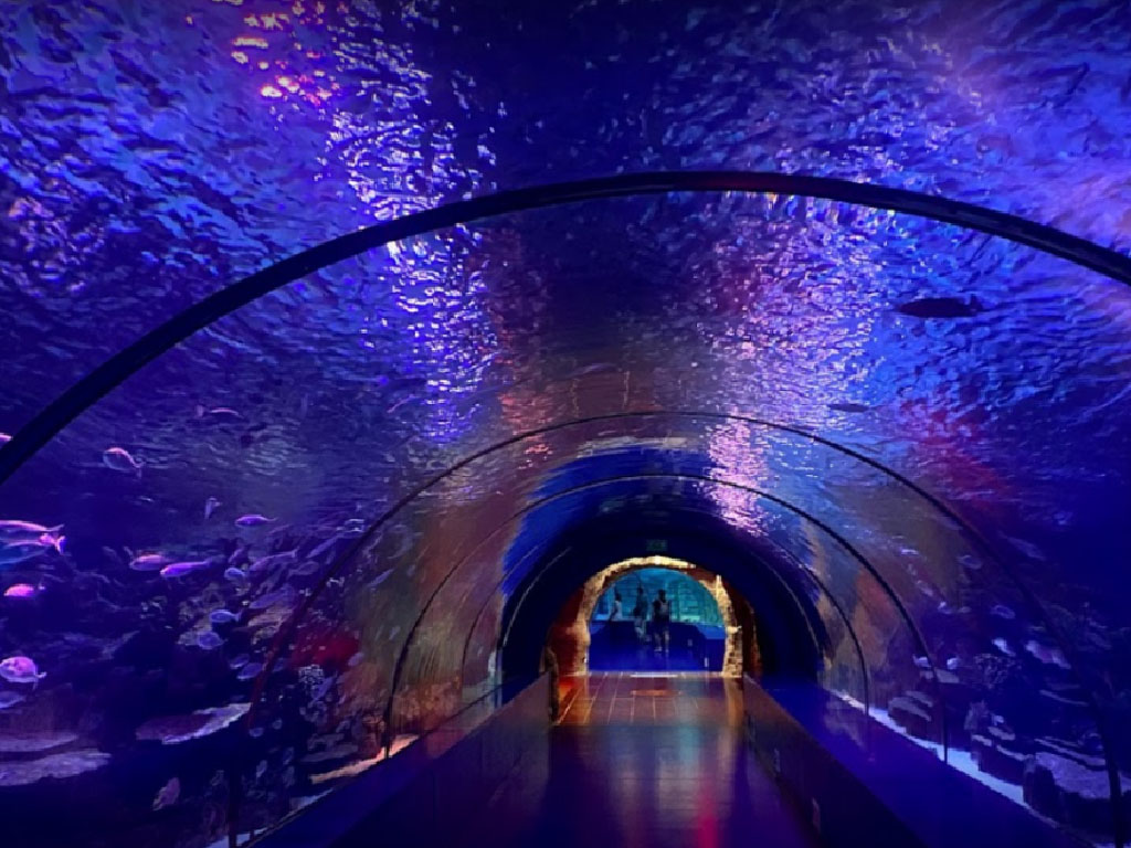 Istanbul Aquarium tour - هزینه تفریحات استانبول