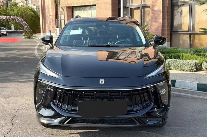 IMG 9481 700x466 - Rent a car with a driver