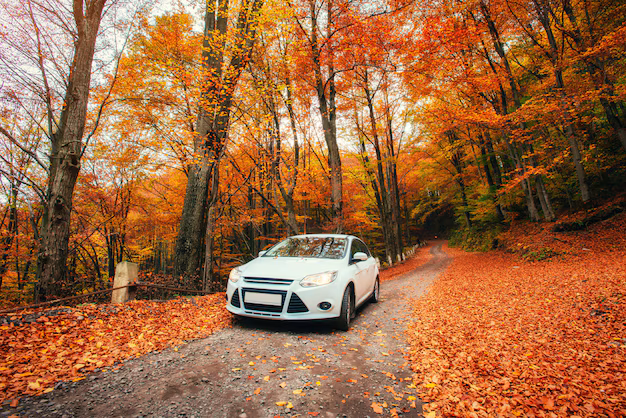 جاهای دیدنی تهران در پاییز